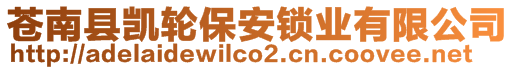 蒼南縣凱輪保安鎖業(yè)有限公司