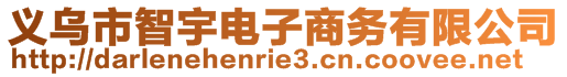 義烏市智宇電子商務(wù)有限公司
