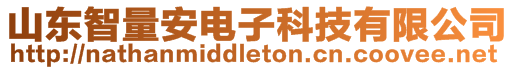 山東智量安電子科技有限公司