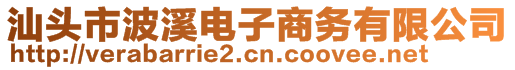 汕頭市波溪電子商務(wù)有限公司