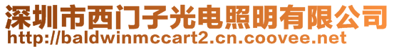 深圳市西門子光電照明有限公司