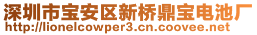 深圳市寶安區新橋鼎寶電池廠