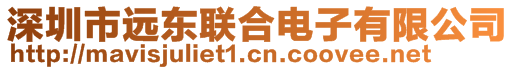 深圳市遠(yuǎn)東聯(lián)合電子有限公司