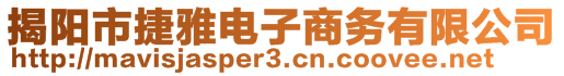 揭陽(yáng)市捷雅電子商務(wù)有限公司