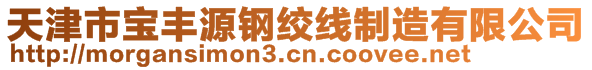 天津市寶豐源鋼絞線制造有限公司