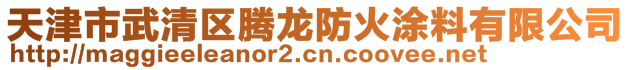 天津市武清區騰龍防火涂料有限公司