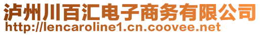 泸州川百汇电子商务有限公司