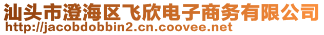 汕頭市澄海區(qū)飛欣電子商務(wù)有限公司