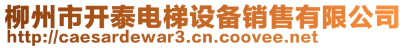 柳州市開泰電梯設(shè)備銷售有限公司