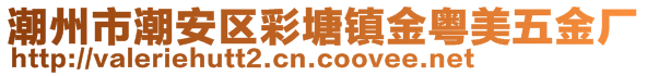 潮州市潮安區(qū)彩塘鎮(zhèn)金粵美五金廠