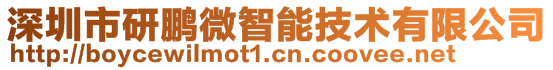 深圳市研鵬微智能技術(shù)有限公司