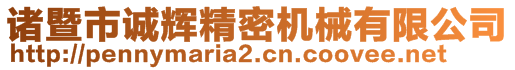 諸暨市誠輝精密機械有限公司
