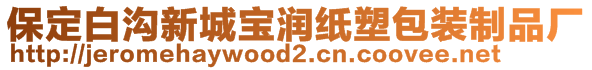 保定白溝新城寶潤(rùn)紙塑包裝制品廠