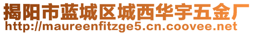 揭陽市藍(lán)城區(qū)城西華宇五金廠