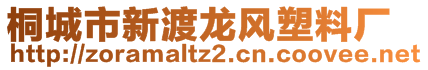 桐城市新渡龙风塑料厂