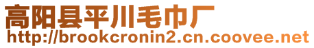 高阳县平川毛巾厂