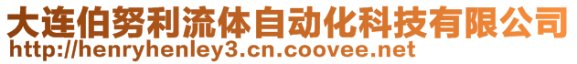 大連伯努利流體自動化科技有限公司