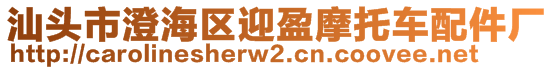 汕頭市澄海區(qū)迎盈摩托車配件廠