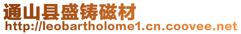 通山縣盛鑄磁材