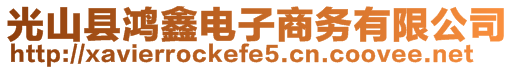 光山縣鴻鑫電子商務有限公司