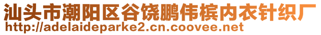 汕頭市潮陽區(qū)谷饒鵬偉檳內(nèi)衣針織廠