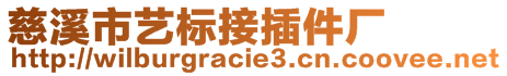 慈溪市藝標(biāo)接插件廠