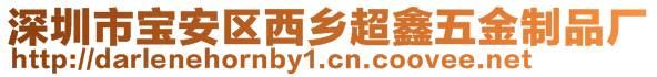 深圳市寶安區(qū)西鄉(xiāng)超鑫五金制品廠