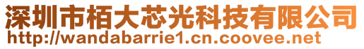 深圳市栢大芯光科技有限公司