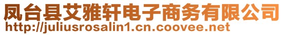 鳳臺(tái)縣艾雅軒電子商務(wù)有限公司