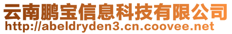 云南鵬寶信息科技有限公司