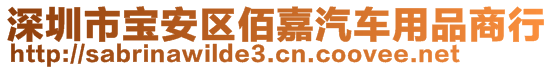 深圳市寶安區(qū)佰嘉汽車用品商行