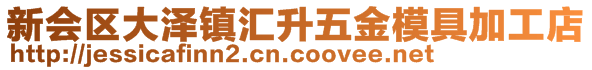 新会区大泽镇汇升五金模具加工店