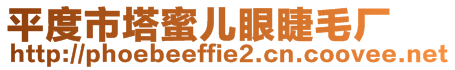 平度市塔蜜兒眼睫毛廠