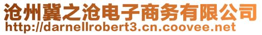 滄州冀之滄電子商務有限公司