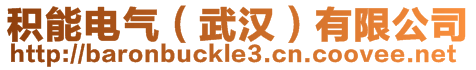 積能電氣(武漢)有限公司