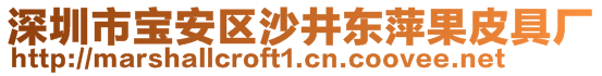 深圳市寶安區(qū)沙井東萍果皮具廠