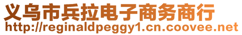 義烏市兵拉電子商務(wù)商行