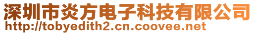 深圳市炎方电子科技有限公司