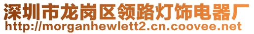 深圳市龍崗區(qū)領(lǐng)路燈飾電器廠