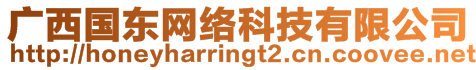廣西國東網絡科技有限公司