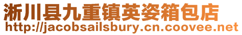 淅川縣九重鎮英姿箱包店