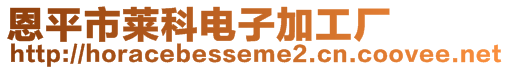 恩平市萊科電子加工廠