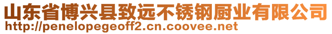 山东省博兴县致远不锈钢厨业有限公司