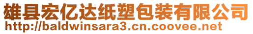 雄縣宏億達紙塑包裝有限公司