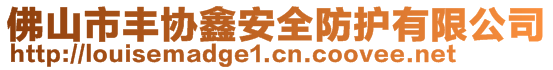 佛山市豐協(xié)鑫安全防護有限公司