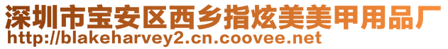 深圳市寶安區西鄉指炫美美甲用品廠
