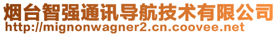 煙臺(tái)智強(qiáng)通訊導(dǎo)航技術(shù)有限公司