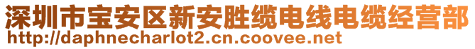 深圳市寶安區(qū)新安勝纜電線電纜經(jīng)營部