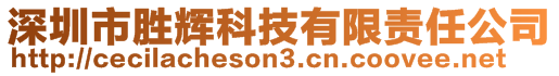 深圳市勝輝科技有限責(zé)任公司