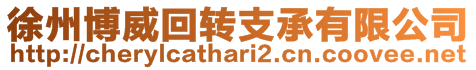徐州博威回轉(zhuǎn)支承有限公司